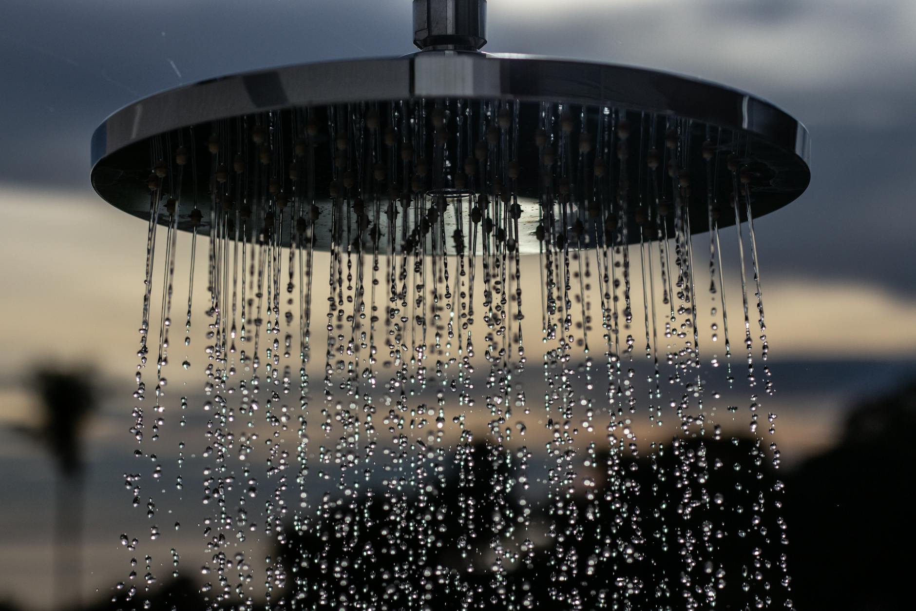 Best Shower Head for Saving Water and Energy: 9 Picks in 2026