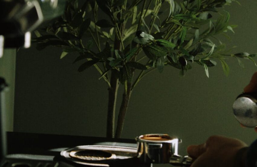 How Much Electricity Does a Coffee Maker Use? kWh, Cost per Cup & Energy-Saving Tips
